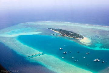 Татьяна Журавлевская, #27839