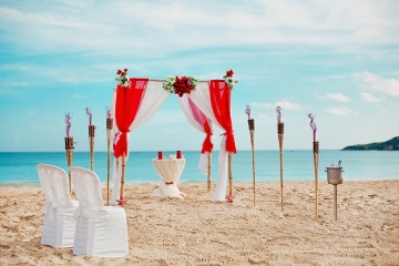 Тори Толкачева, #76429