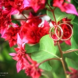 Кирилл + Анна.