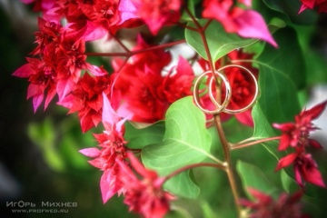 Игорь Михнёв, #63482