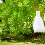 Свадьба Елены и Олега