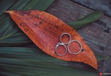 Свадьба в сосновом лесу на Маврикий