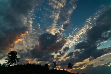 Андрей Настасенко, #32325