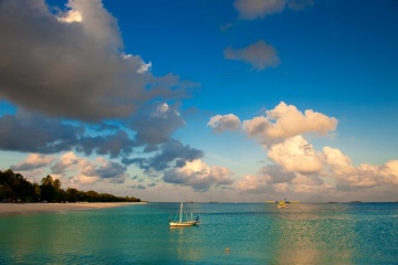 Наталия Дегтярева, #1434