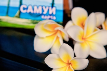 Алексей Михайлов, #63869