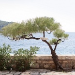 Волшебная свадебная фотосессия Ольги и Александра в Хорватии, г. Дубровник.