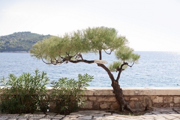 Филипп Андрухович, #69201