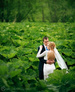 Предложения фотографов за границей